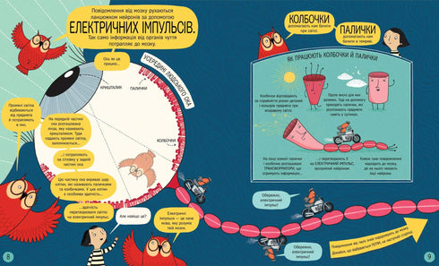 Das Buch über das Gehirn und wie es funktioniert